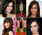 Demi Lovato bir aktris ve Amerikan rock şarkıcısı. Disney Channel Original Film, Camp Rock Mitchie Torres rolüyle tanınan
